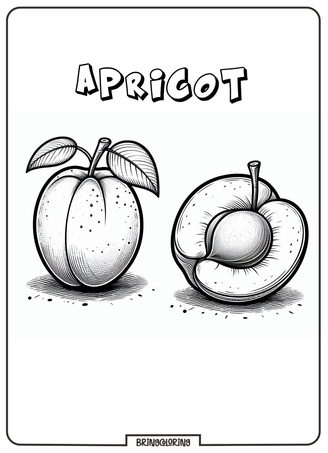 Apricot Coloring Pages for Kids