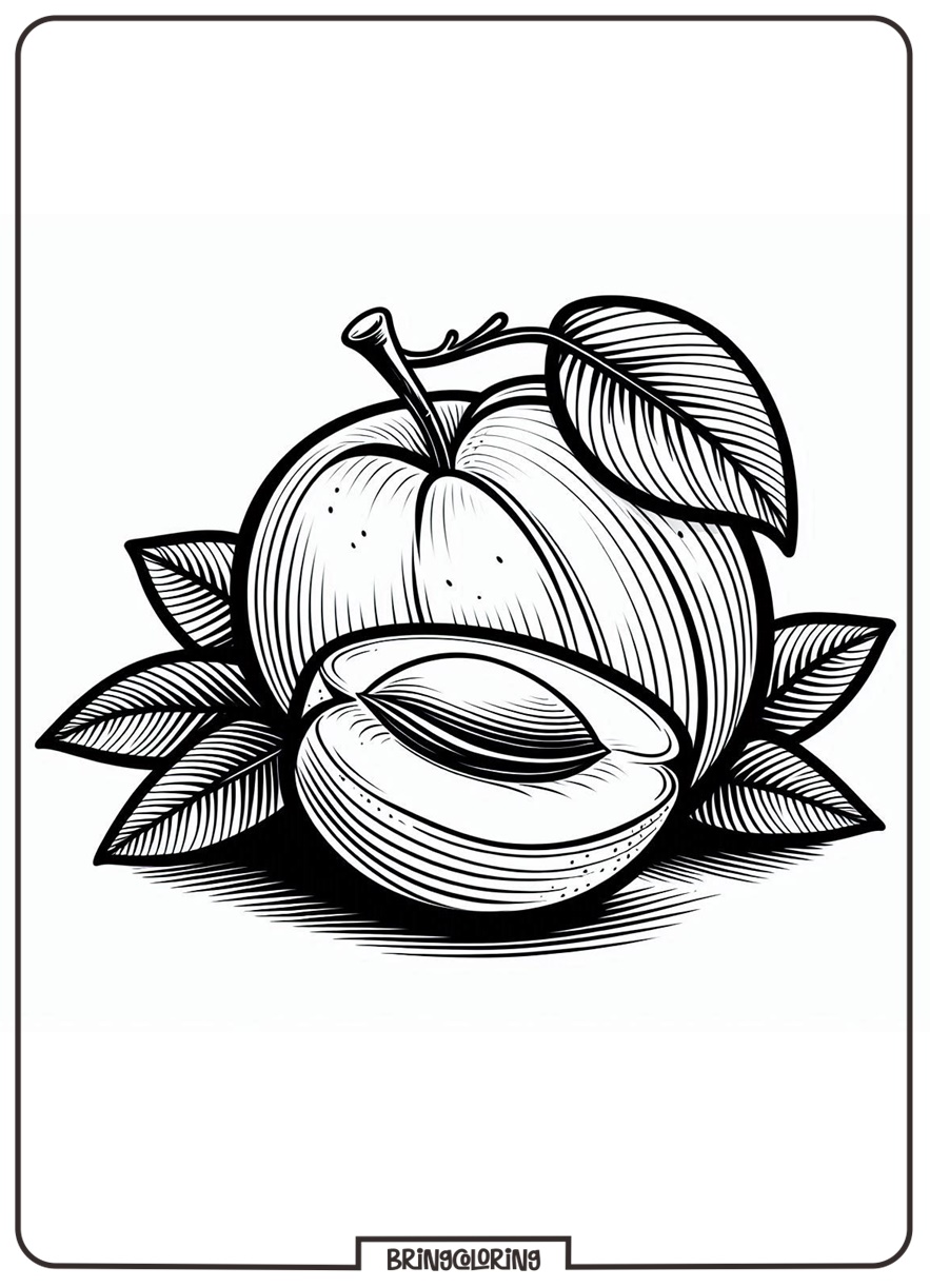 Apricot Coloring Pages