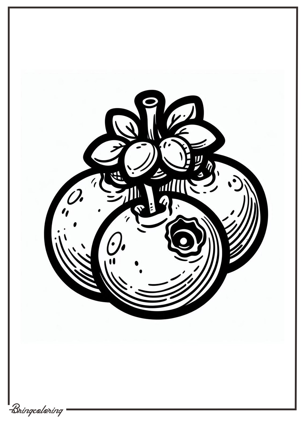 Blueberry Fruit Coloring Pages for Kids
