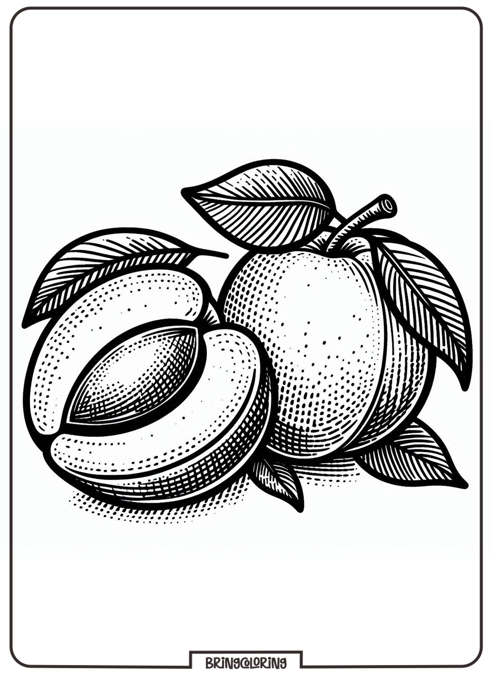 Bringcoloring.com, Apricot Coloring Pages for Kids