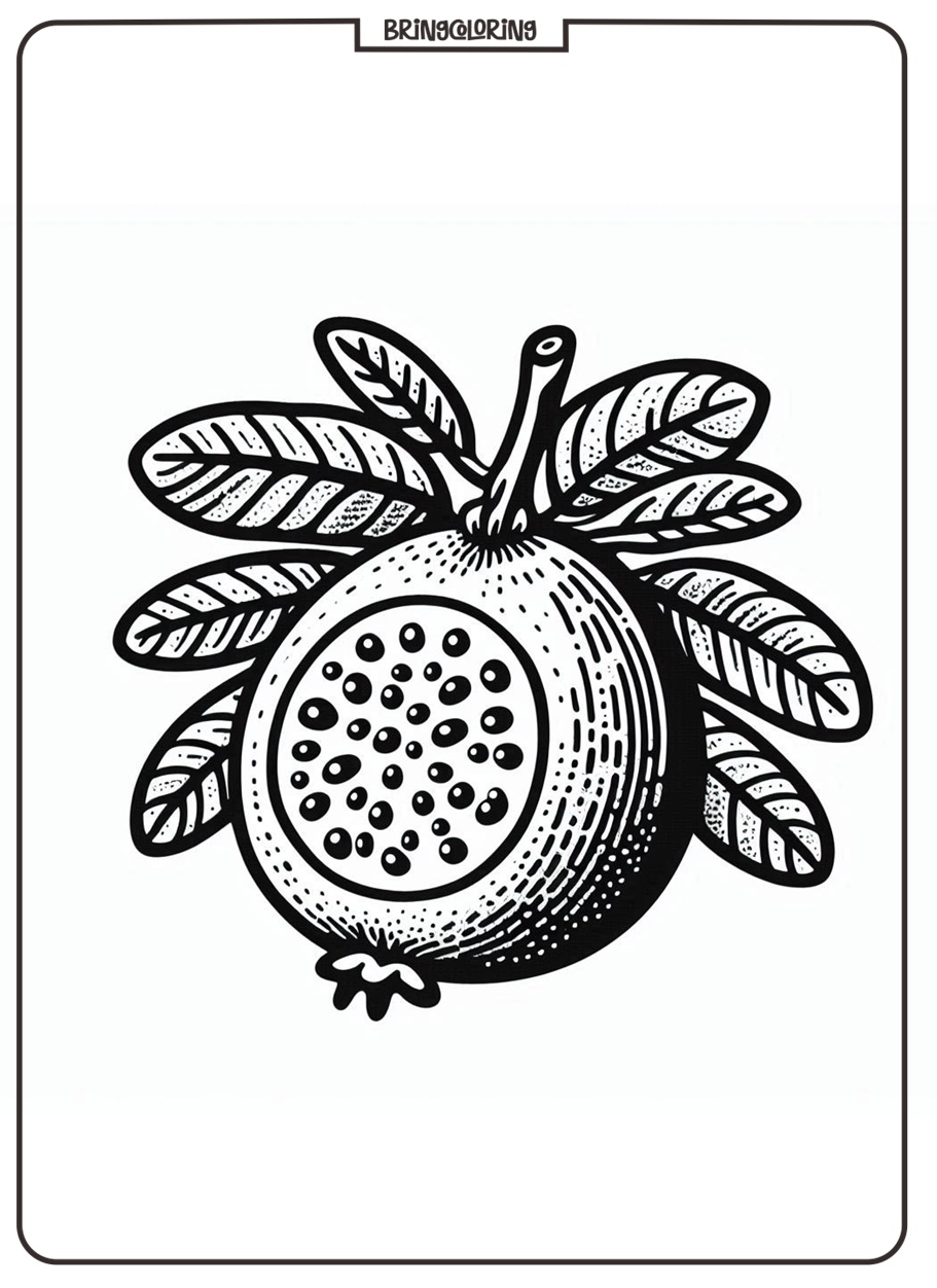 Feijoa coloring page Feijoa coloring page