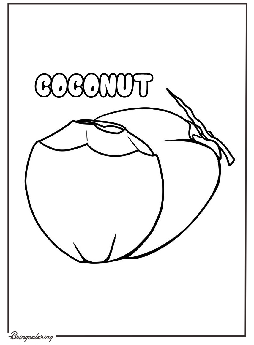 coconut coloring page for kids