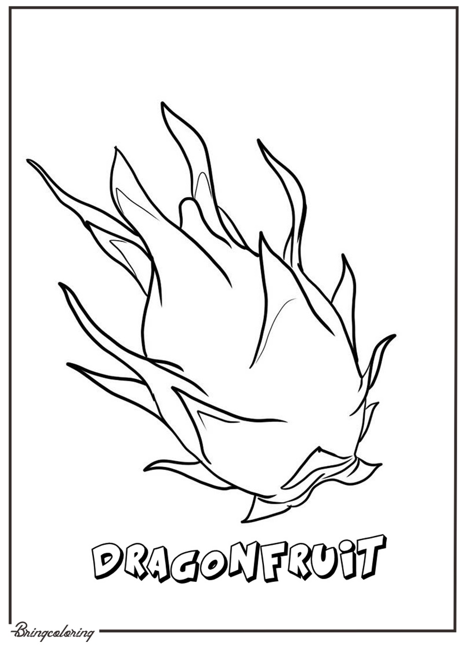 dragonfruit illustration pdf free