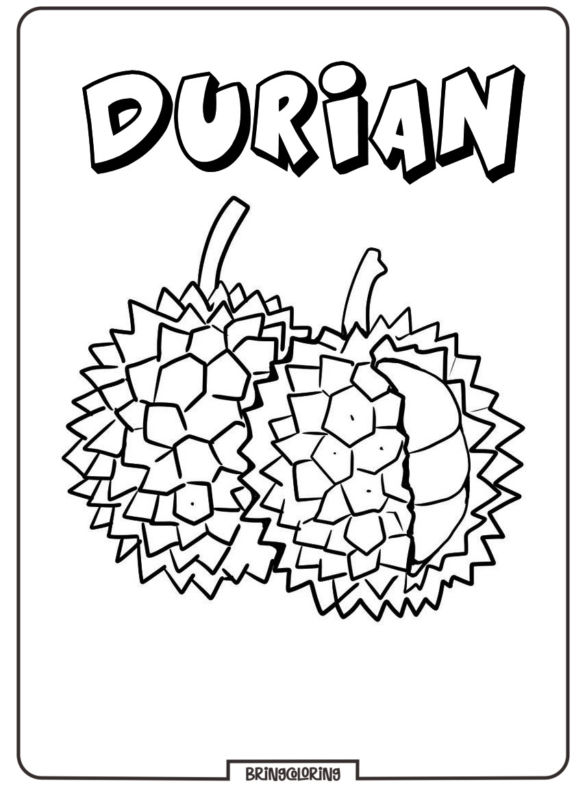 durian coloring picture print