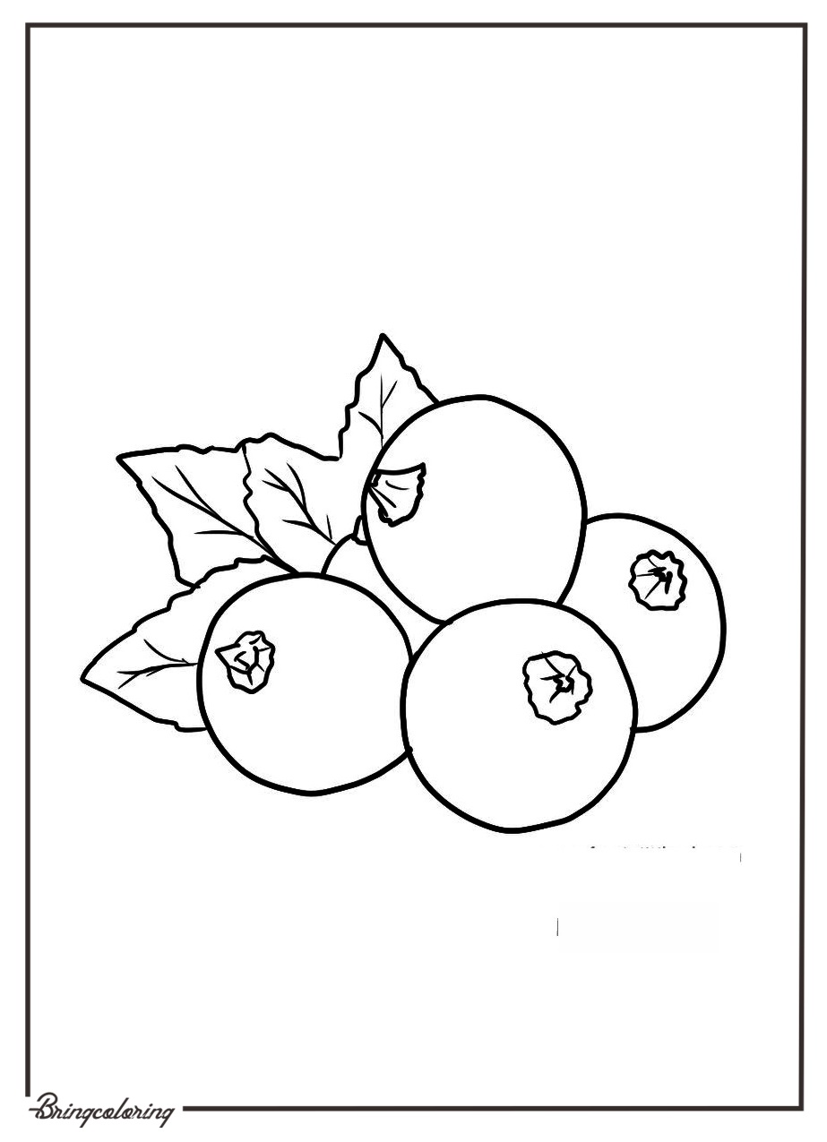 easy black currant coloring page for kids
