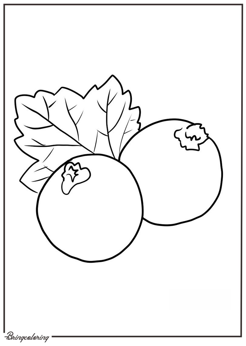 easy black currant coloring page