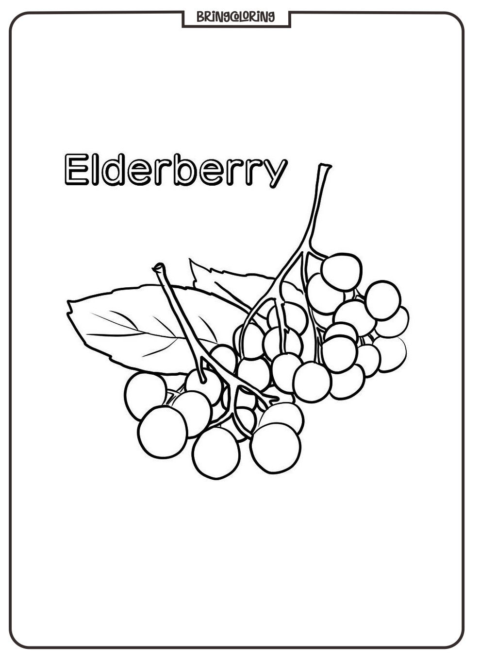 easy elderberry coloring pages