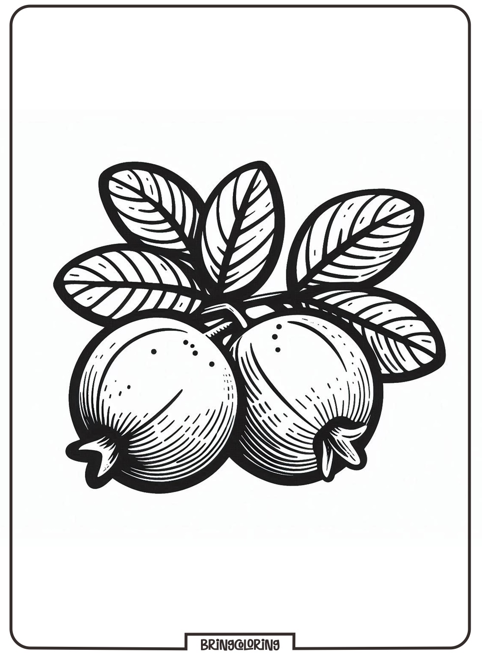 fruit jaboticaba coloring page