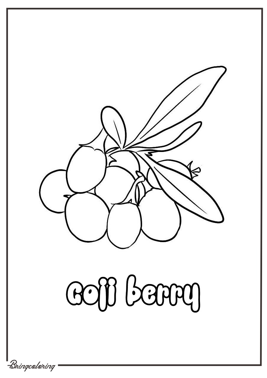 goji berries fruit coloring pages for kid