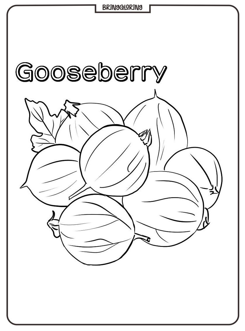 gooseberry coloring pages
