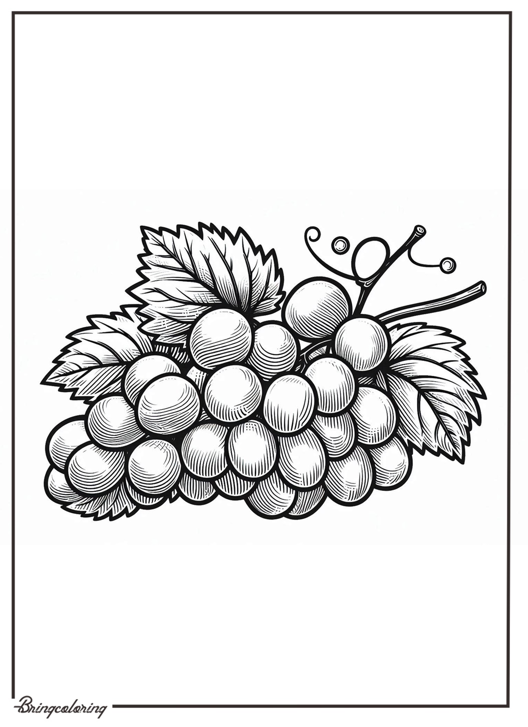 grape coloring page online grape coloring page online