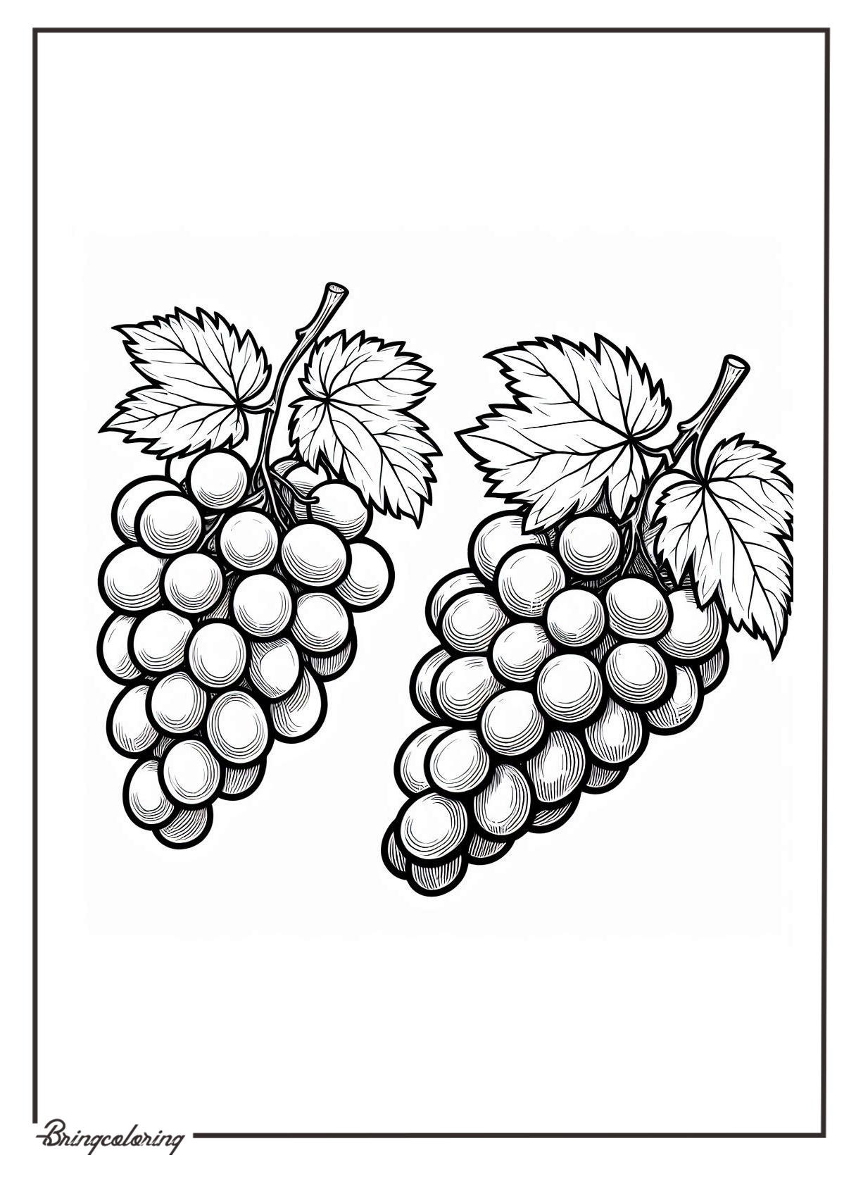 grape coloring pages for kids grape coloring pages for kids
