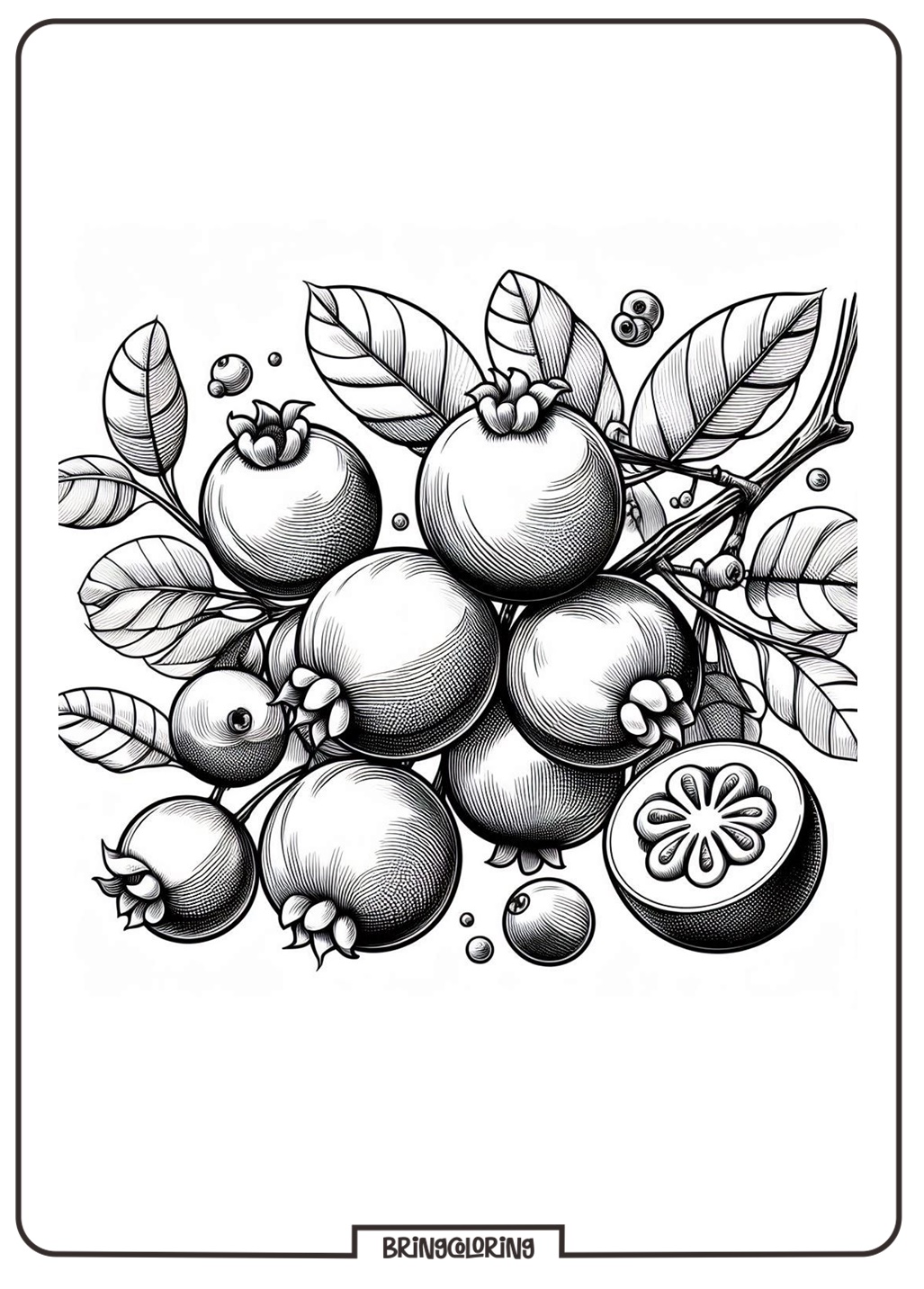 jaboticaba fruit coloring page