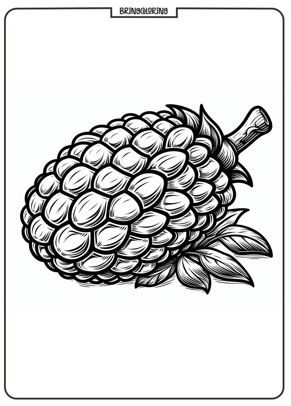 jackfruit coloring pages