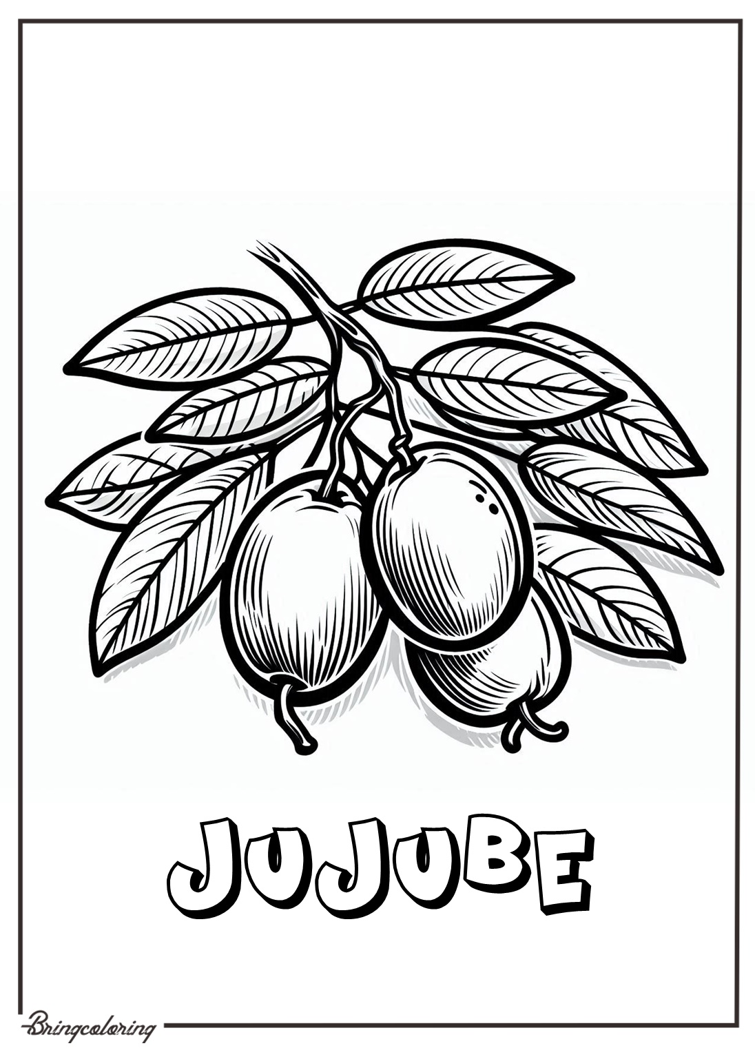 jujube fruit coloring pages for kids