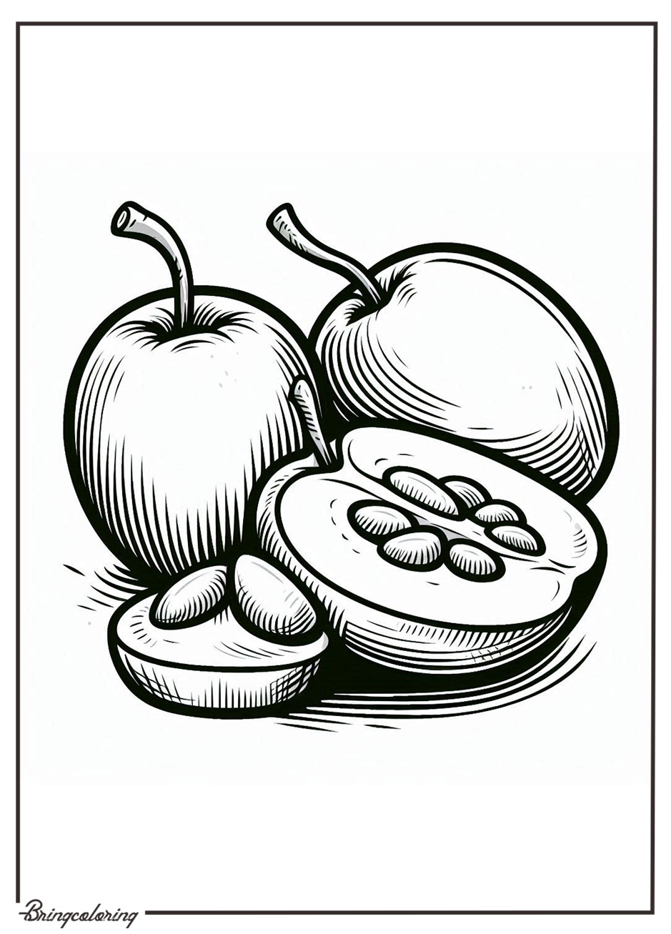 jujube fruit coloring pages