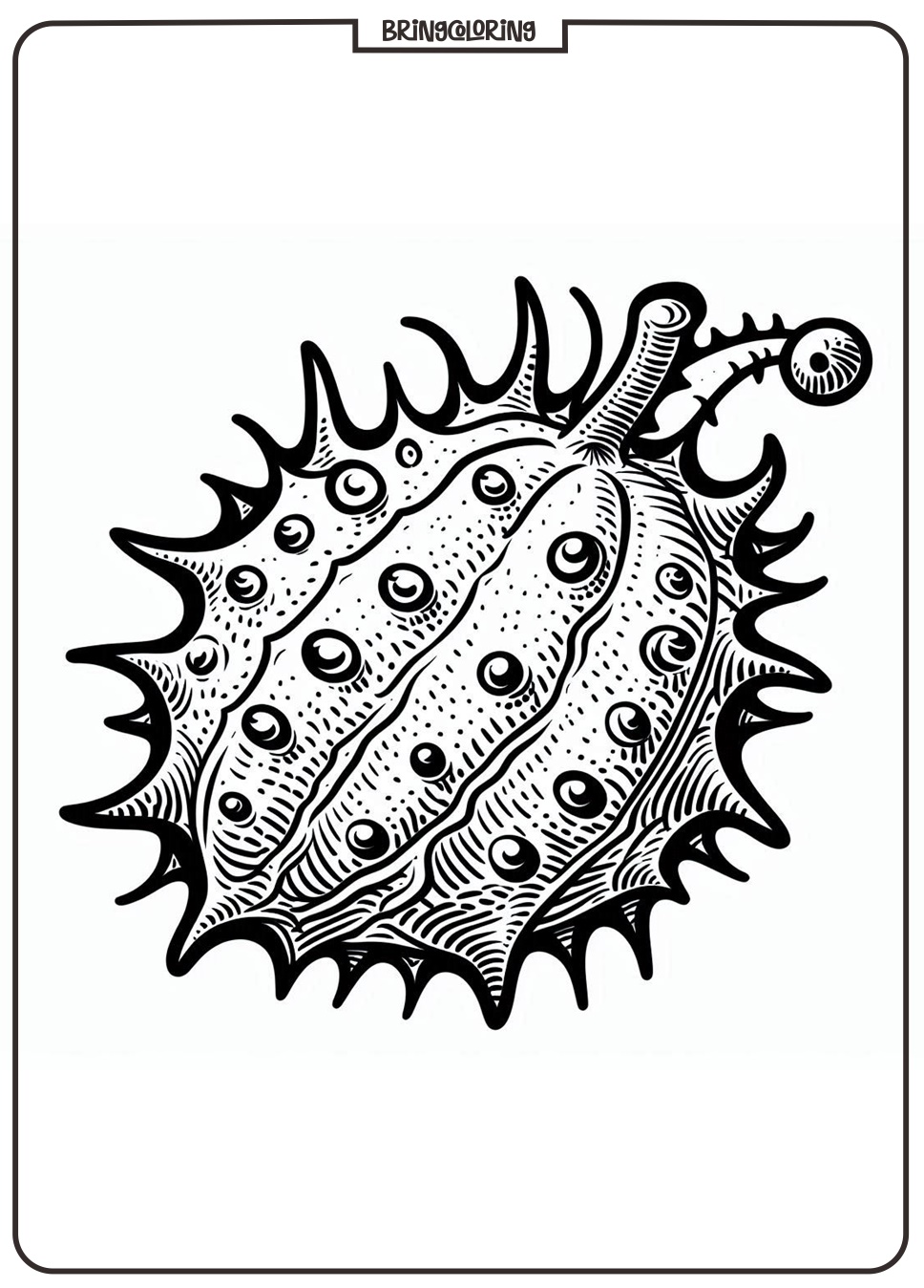 kiwano coloring pages