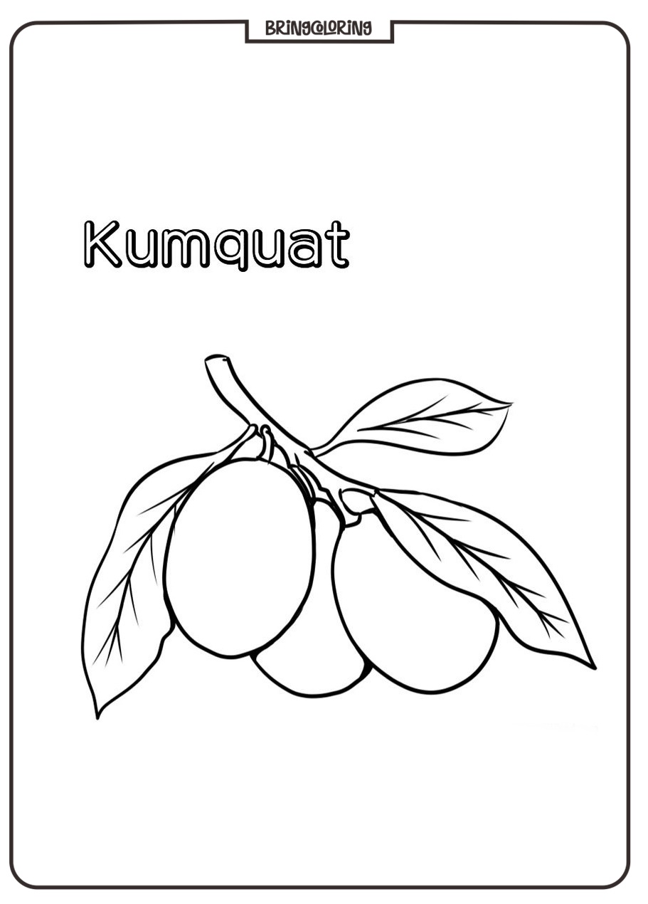 kumquat fruit coloring book for kids kumquat fruit coloring book for kids