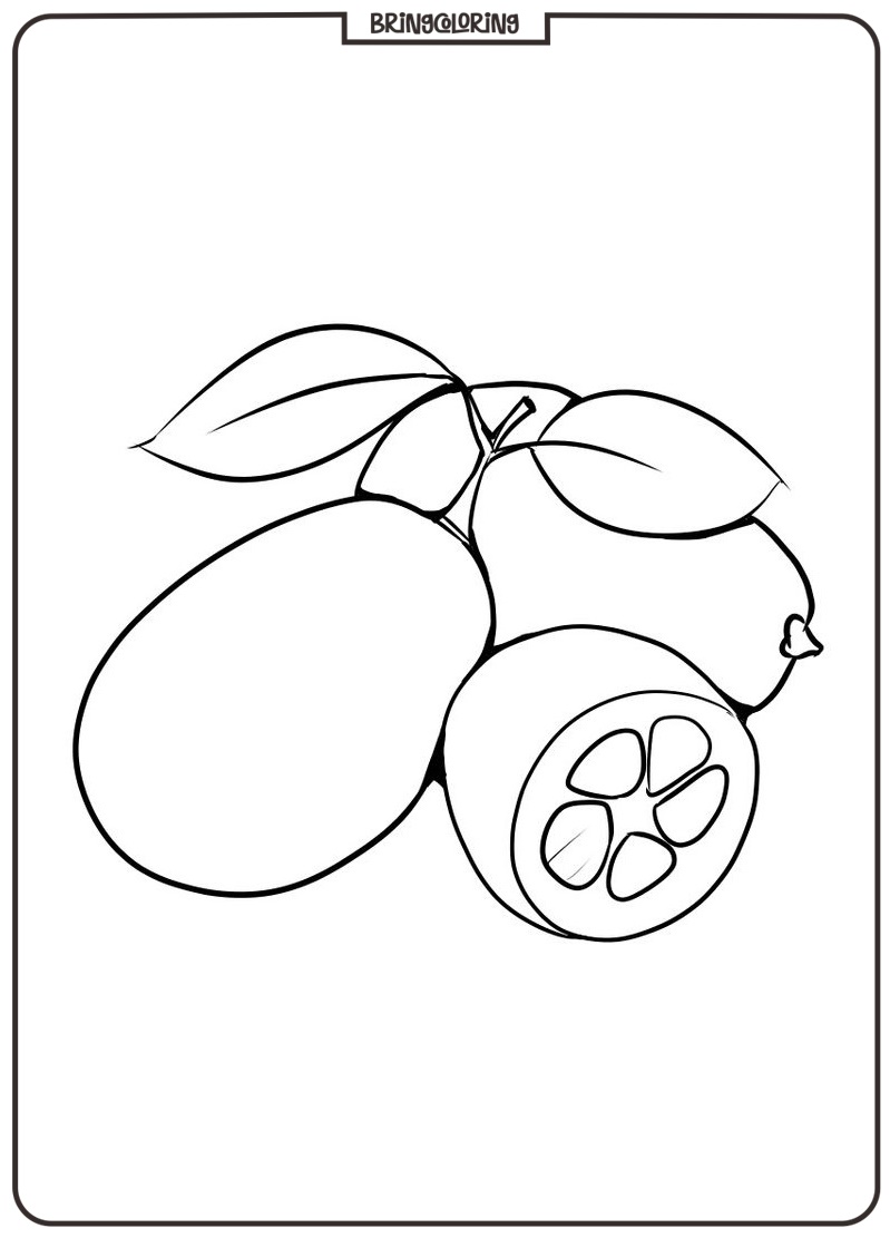 kumquat fruit coloring book kumquat fruit coloring book