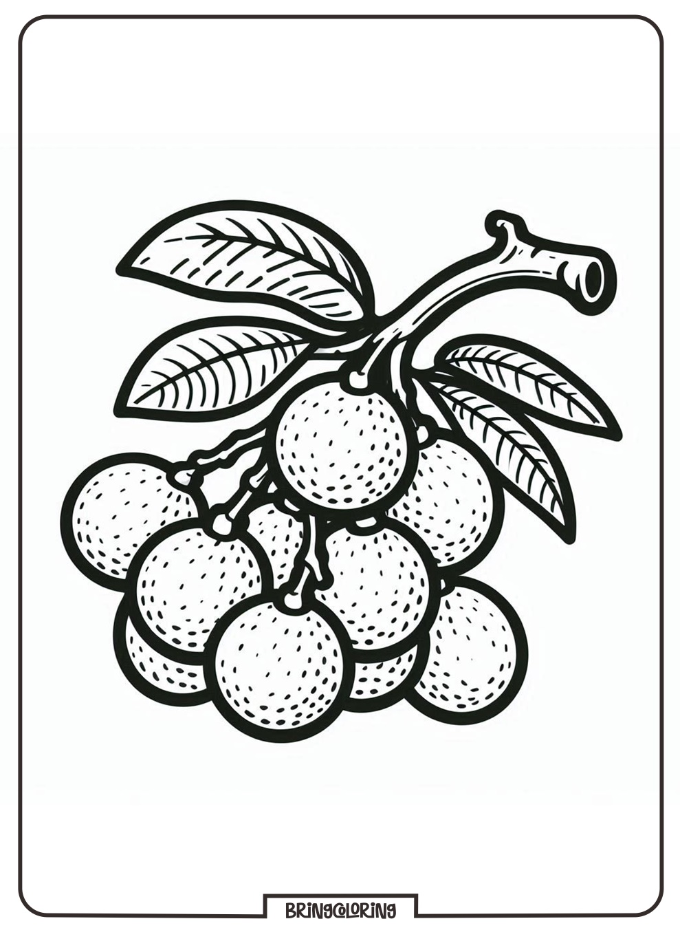longan fruit coloring pages longan fruit coloring pages
