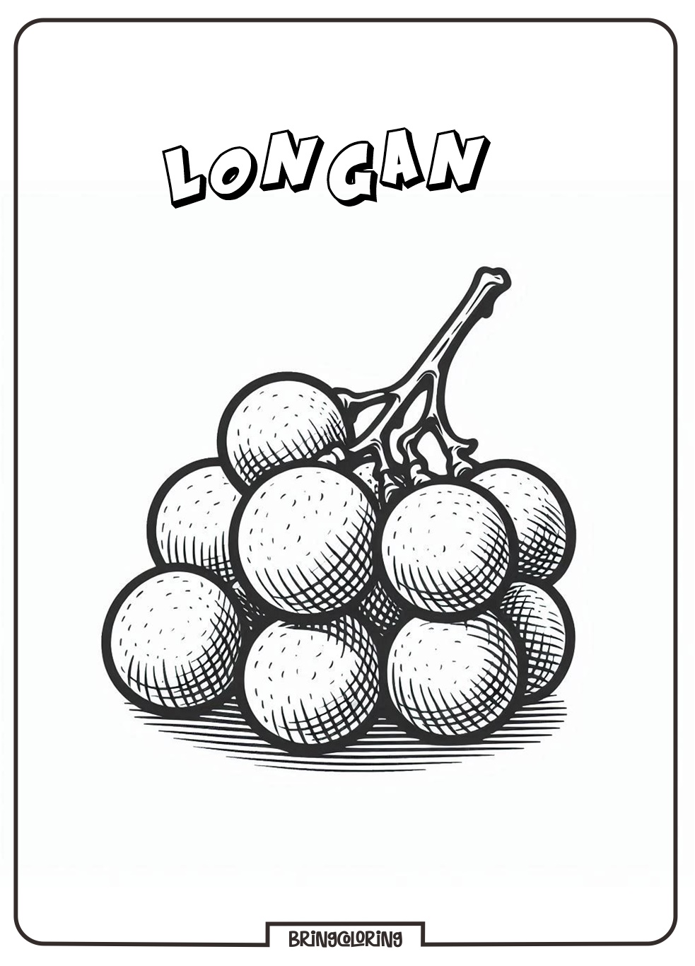 longan fruit coloring picture longan fruit coloring picture