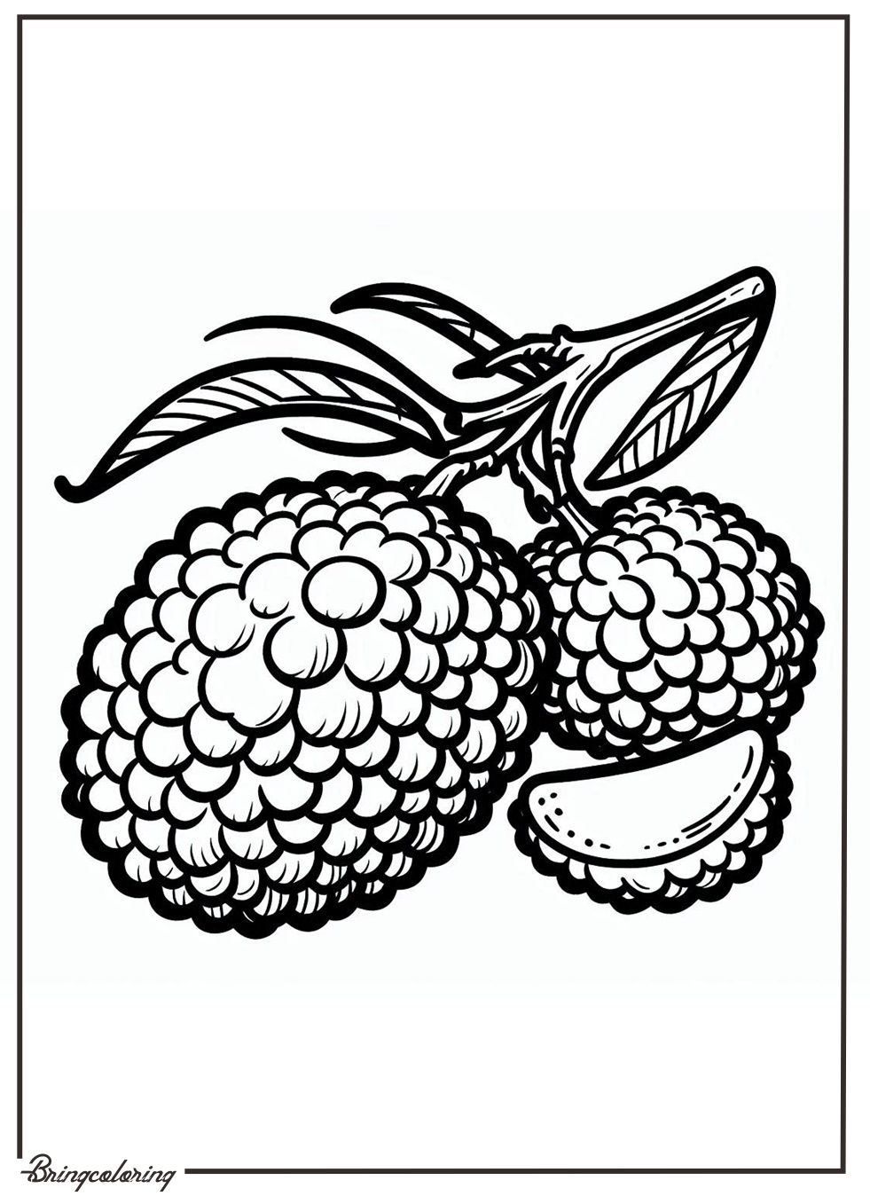 lychee fruit coloring page lychee fruit coloring page
