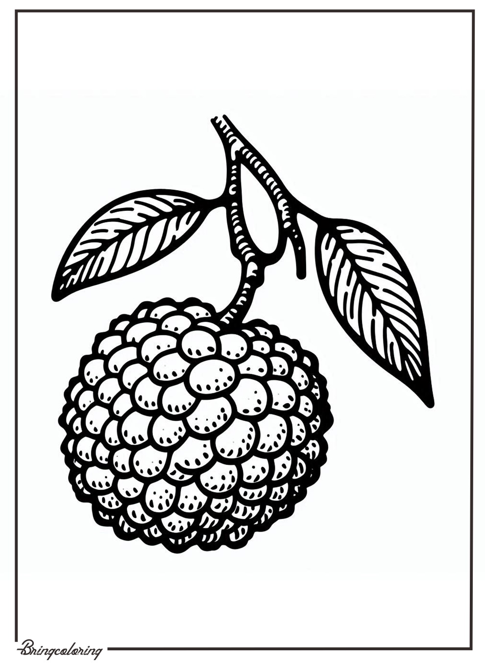 lychee fruit coloring pages lychee fruit coloring pages
