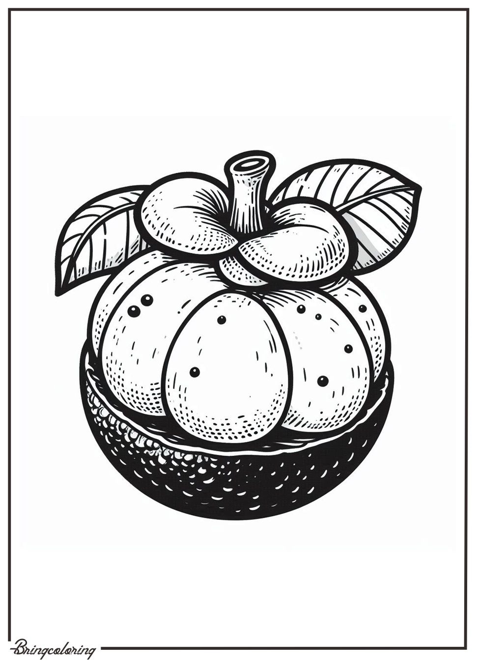 mangosteen coloring page for kids mangosteen coloring page for kids