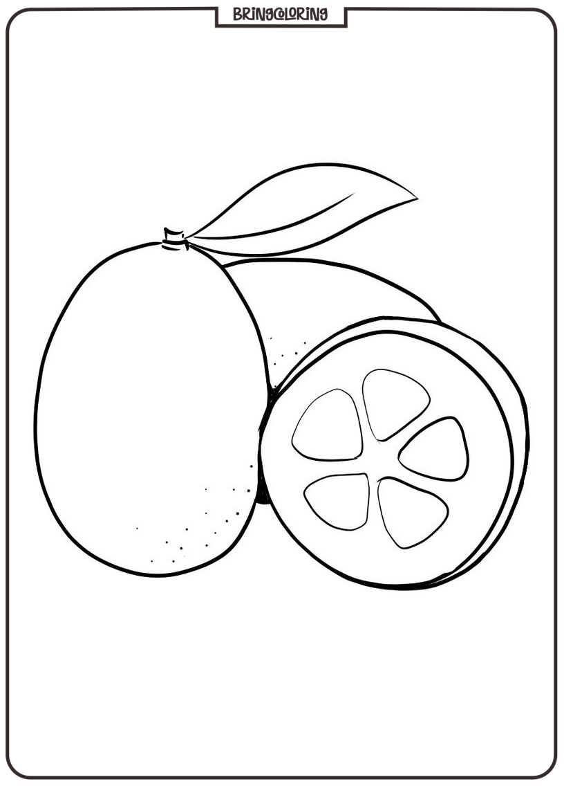 online kumquat fruit coloring book online kumquat fruit coloring book