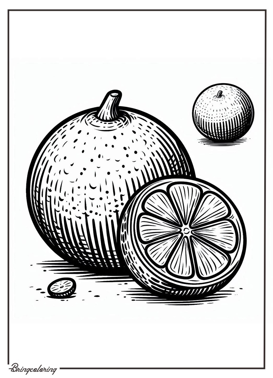 online lime coloring page online lime coloring page
