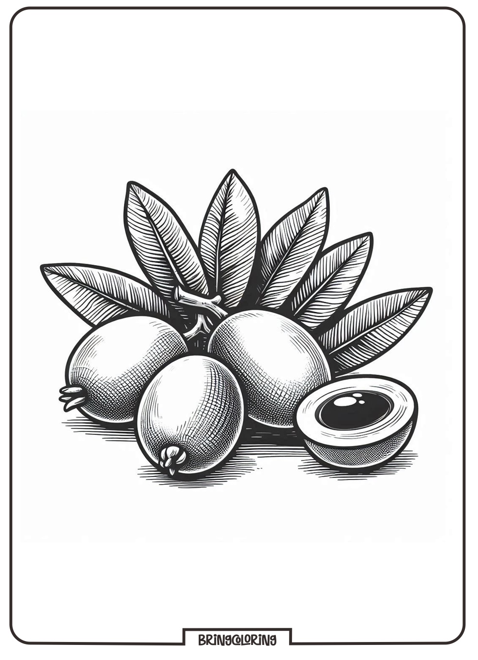 online loquat coloring page online loquat coloring page