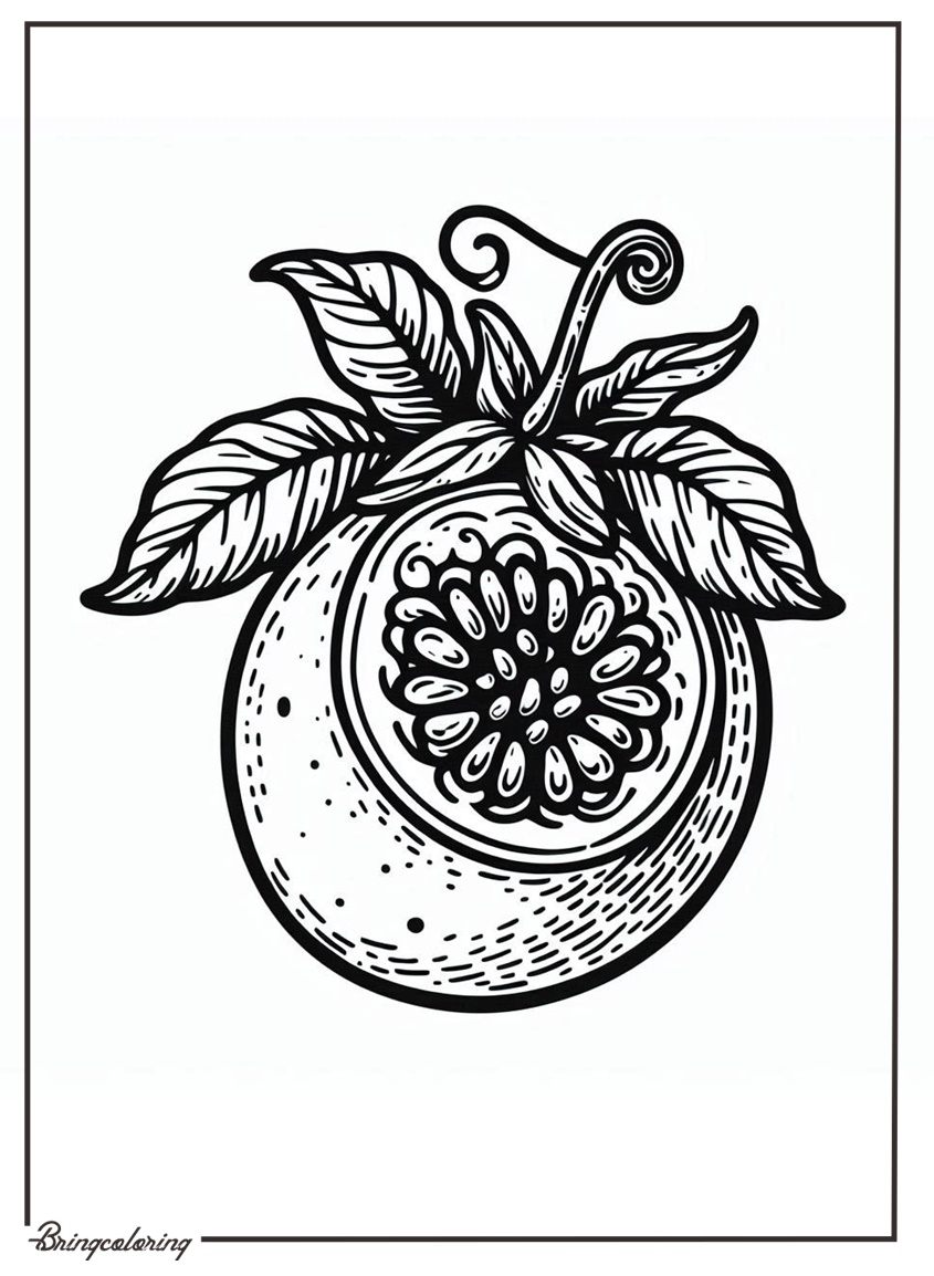 passion fruit coloring pages