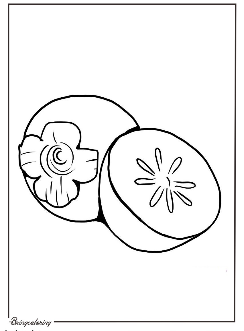 persimmon coloring pages