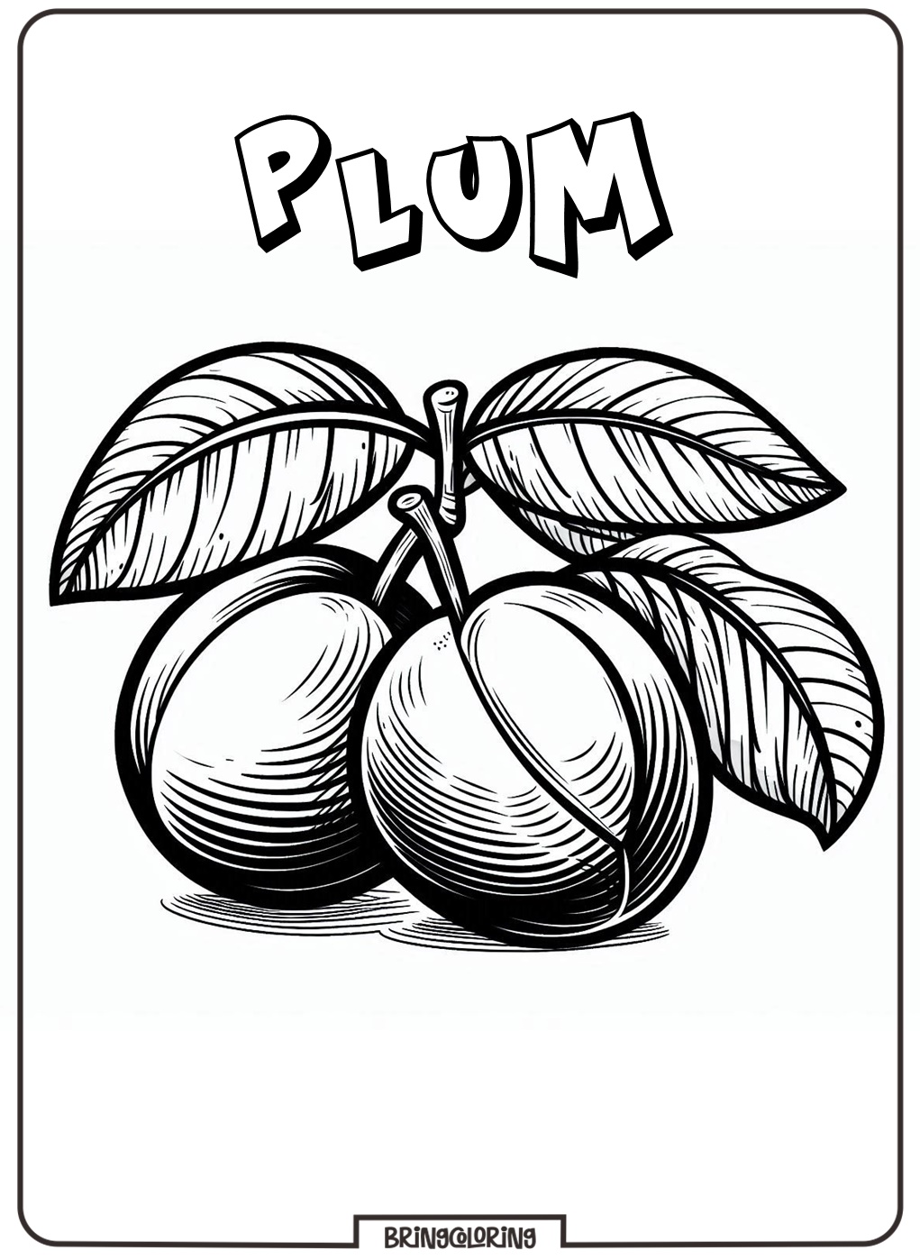 plum fruit coloring pages