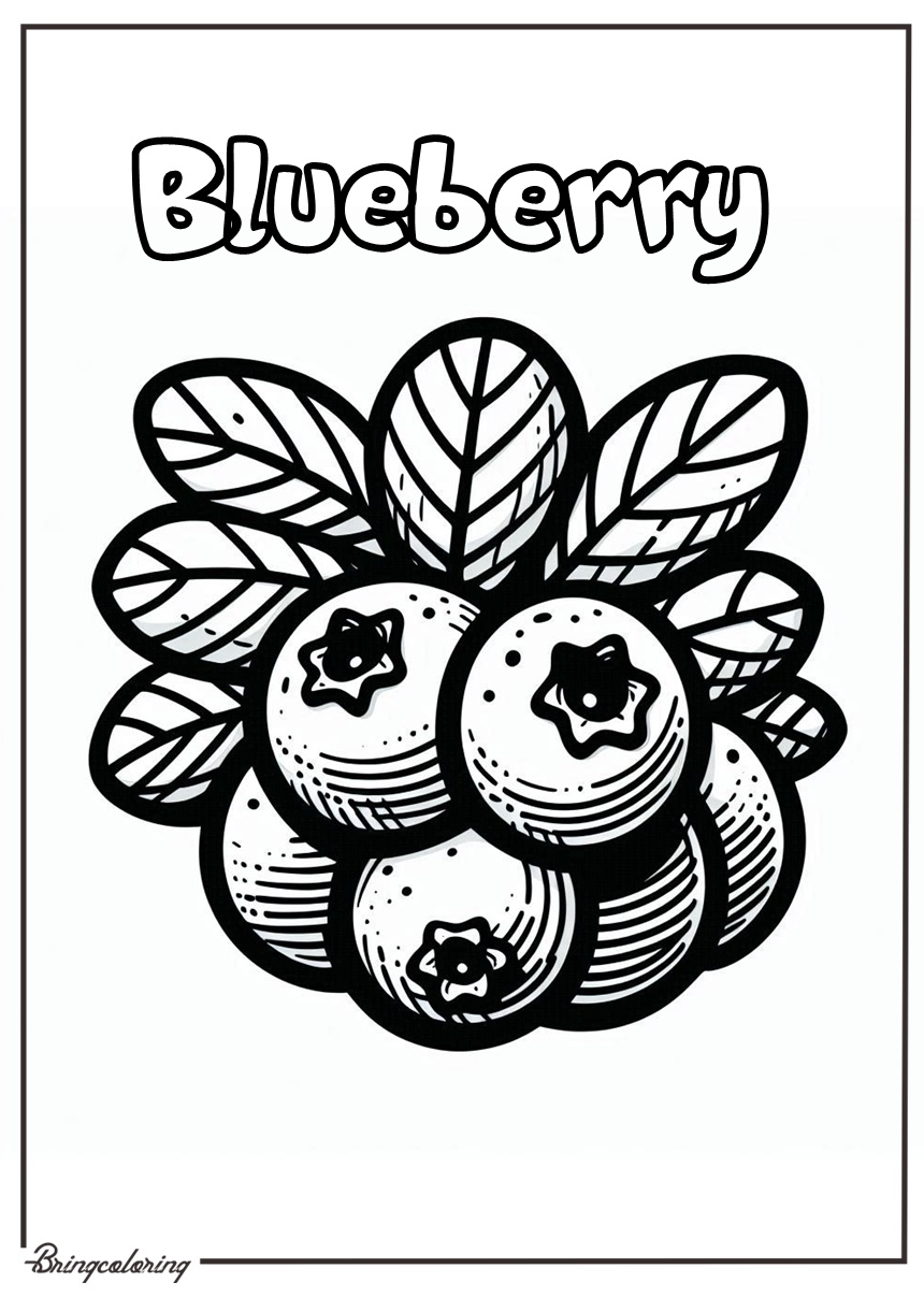 printable blueberry coloring pages