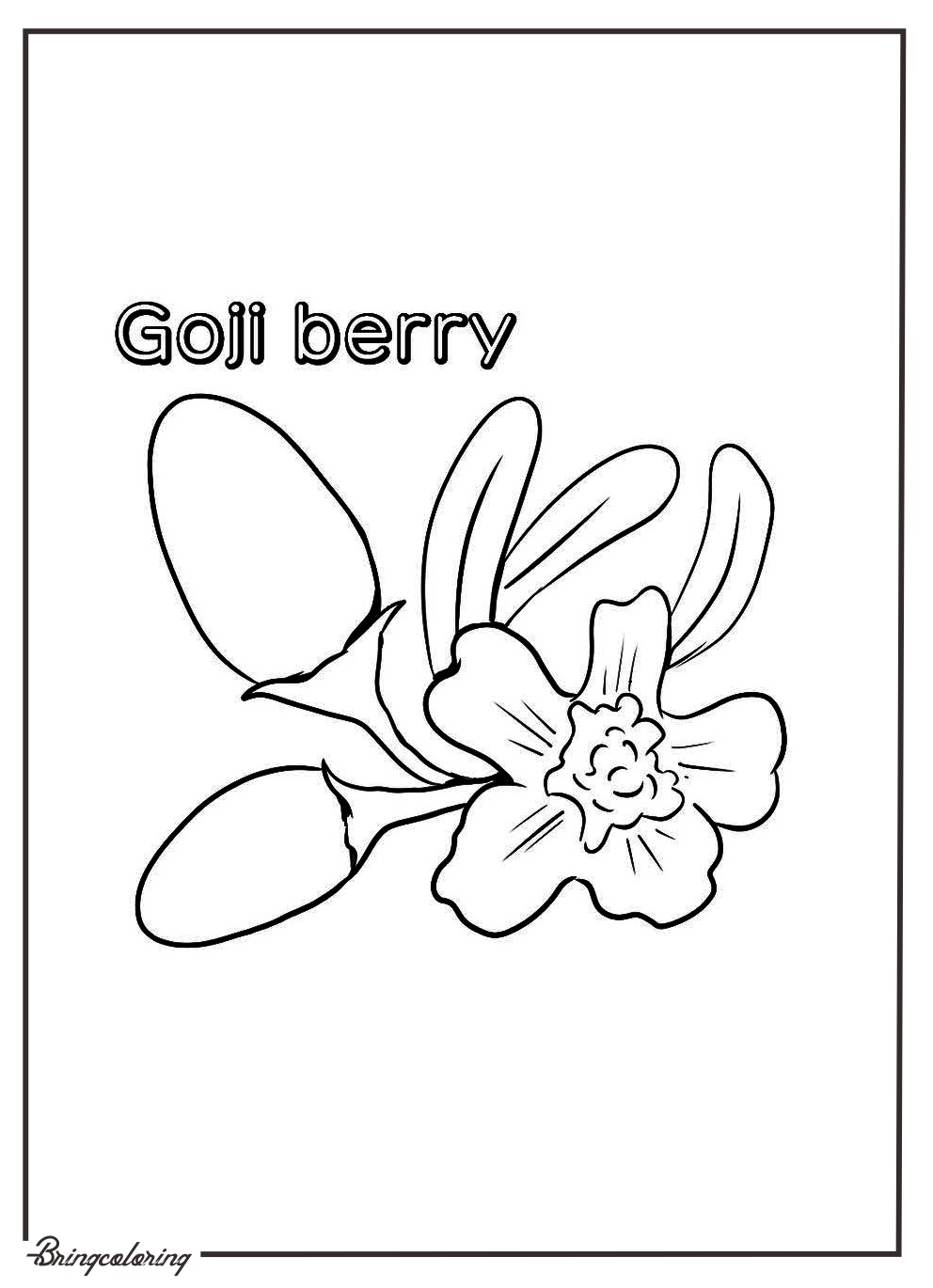 printable goji berry coloring page