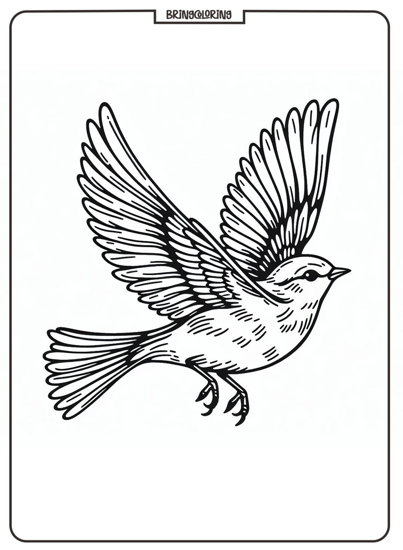 Bird Coloring Pages Online for Kids Bird Coloring Pages Online for Kids