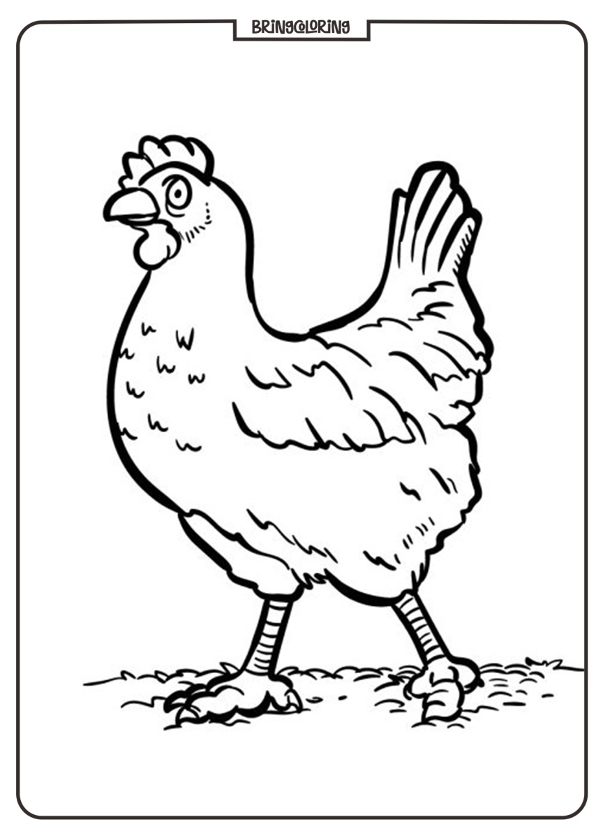 Chicken Coloring Pages for Kids