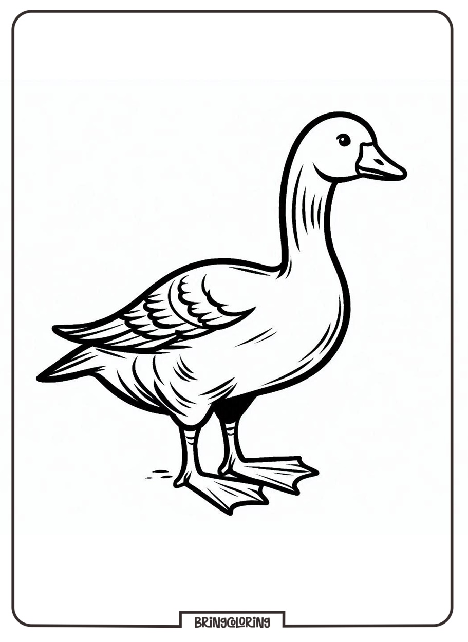 Duck Coloring Page for Kids