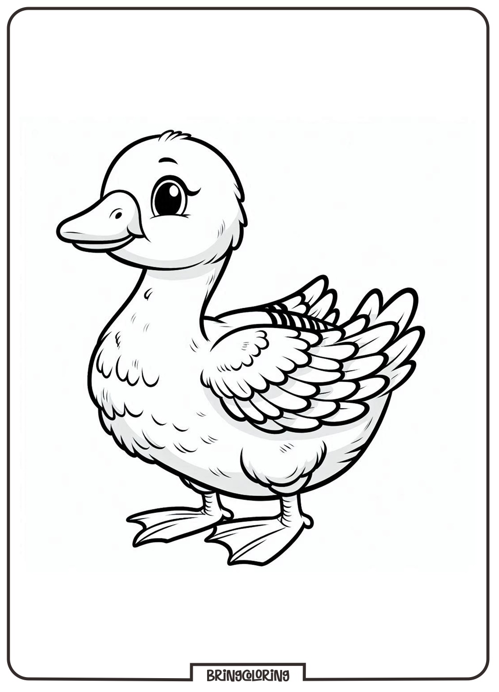 Duck Coloring Pages for Kids