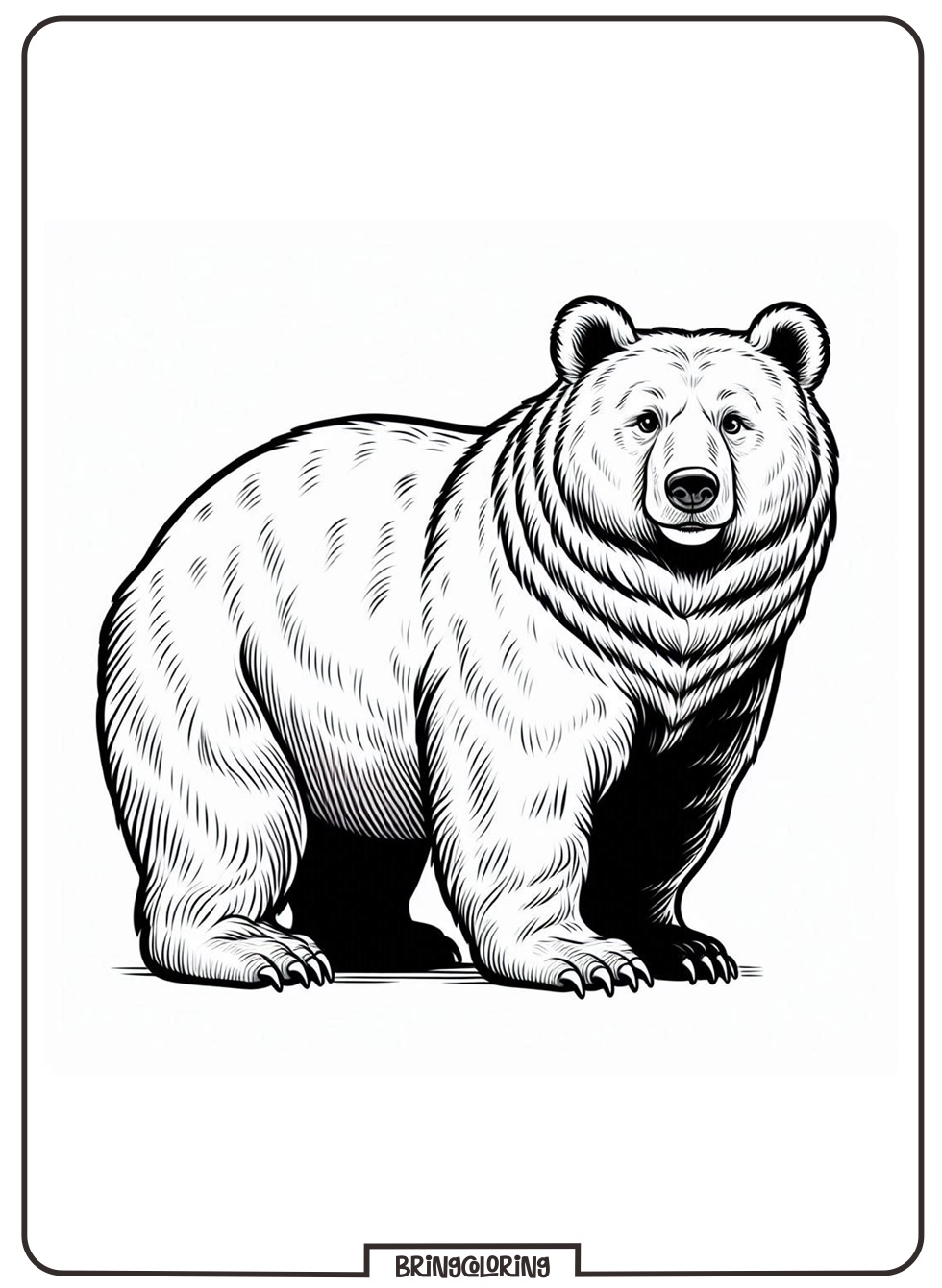 Online Bear Coloring Page