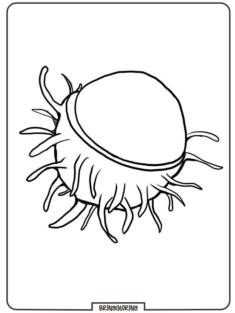 Rambutan coloring page Rambutan coloring page