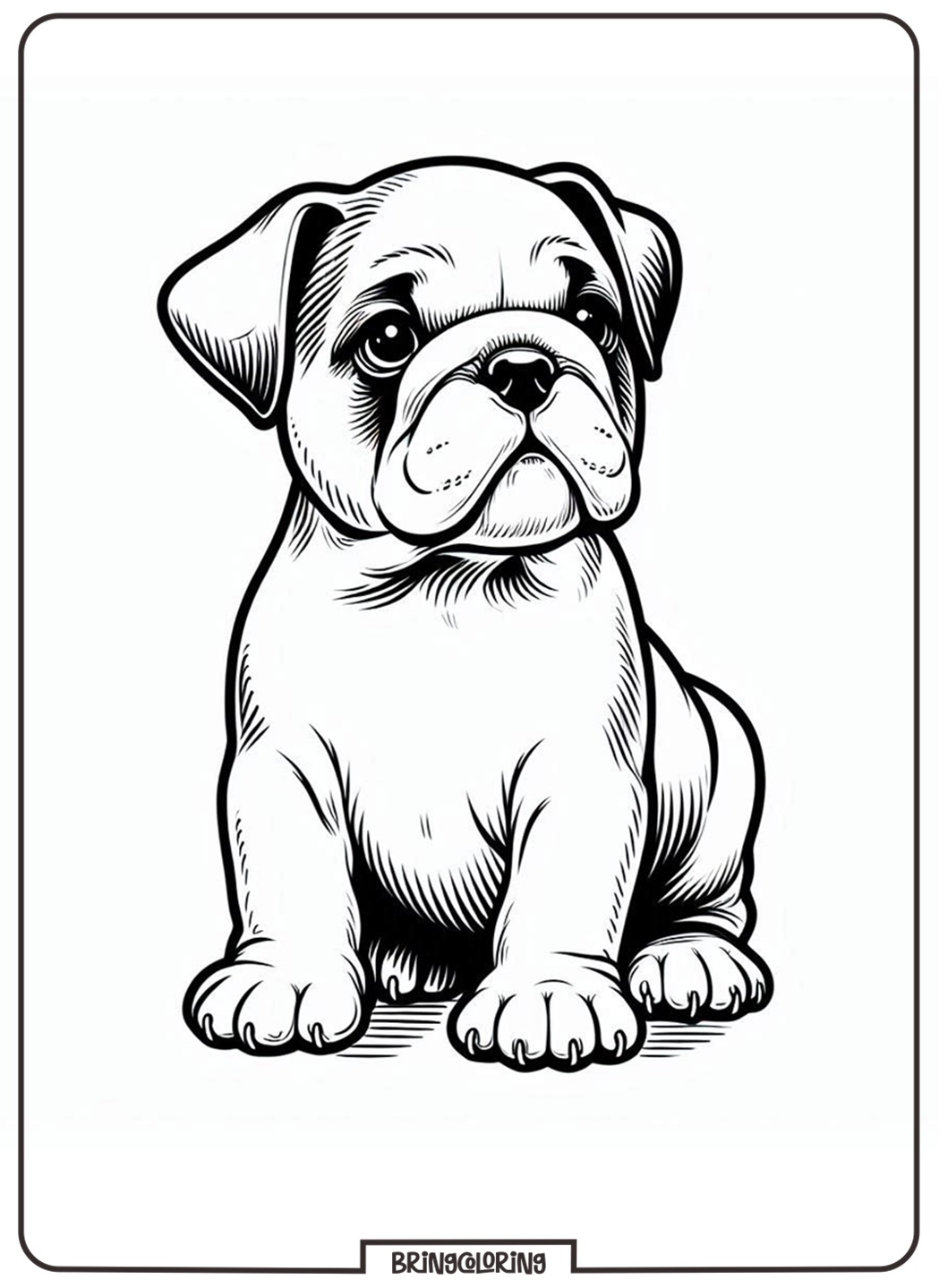 baby bulldog coloring online pages for kids baby bulldog coloring online pages for kids