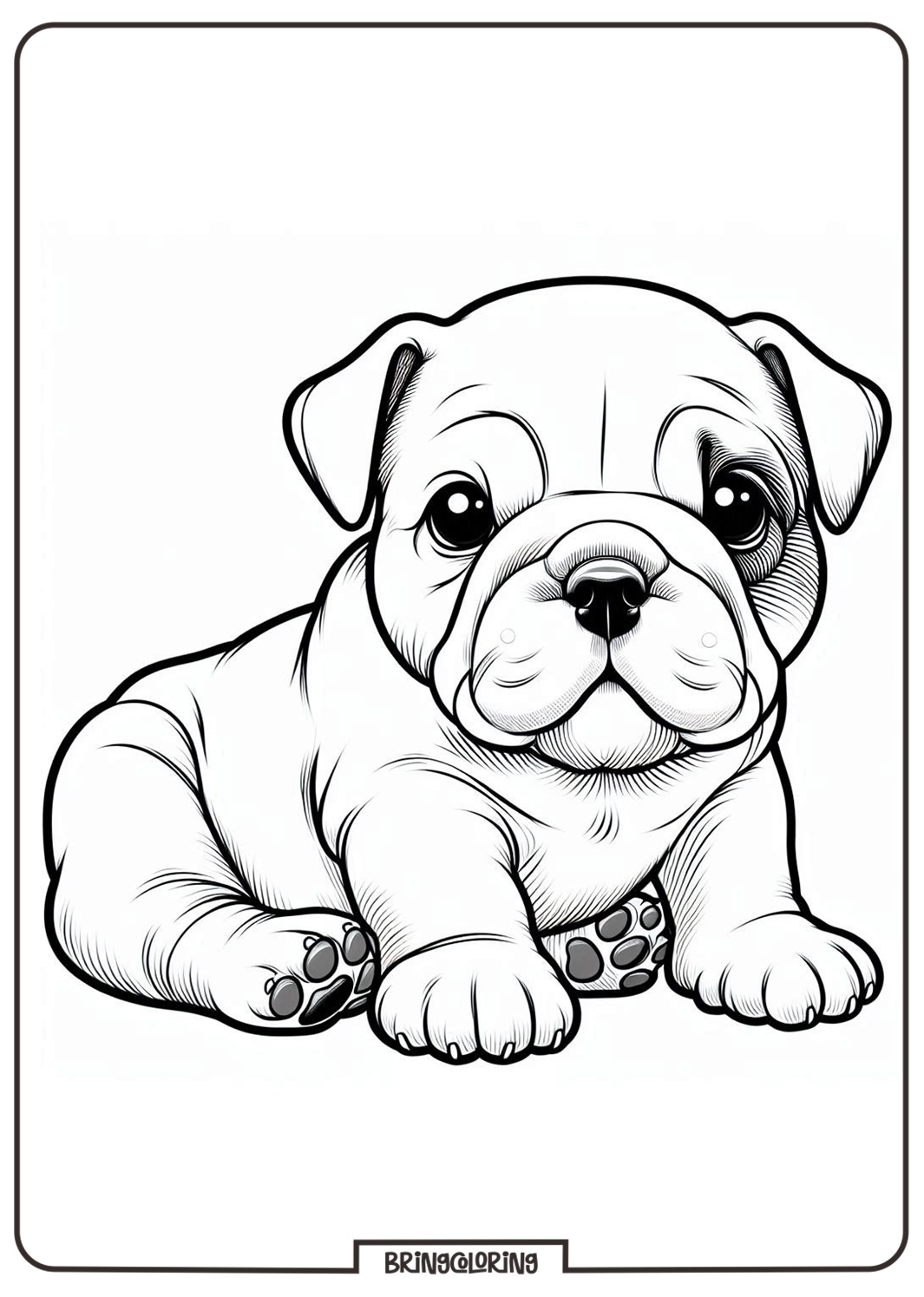 baby bulldog coloring page for kids baby bulldog coloring page for kids