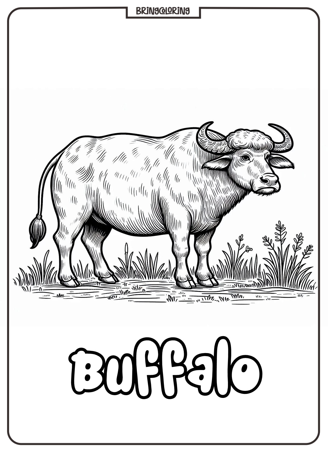 buffalo coloring page online buffalo coloring page online