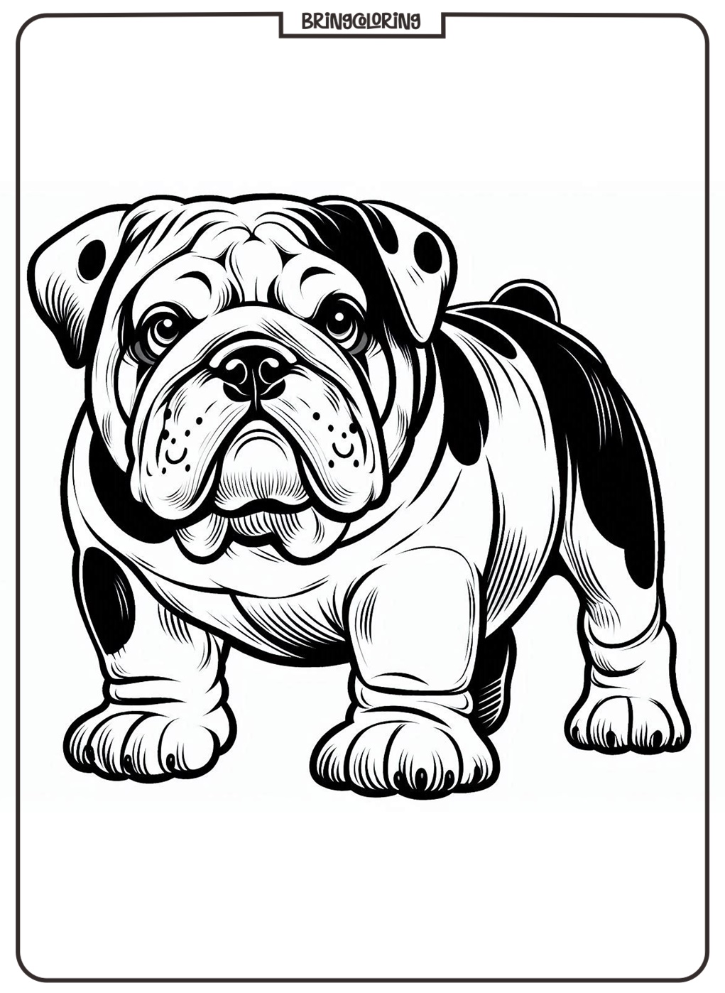 bulldog coloring page online for kids bulldog coloring page online for kids