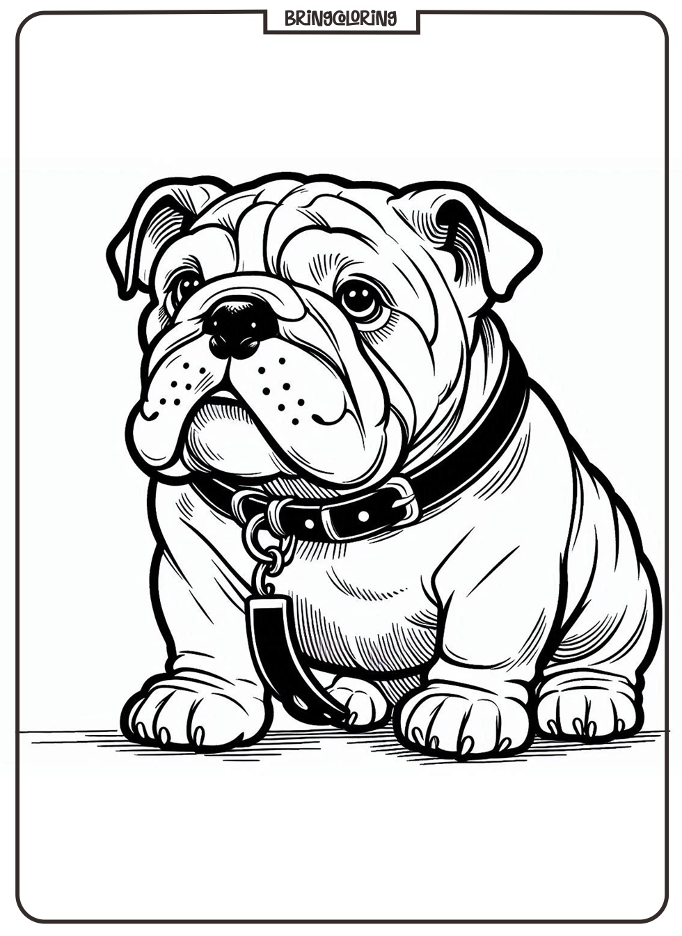 bulldog coloring pages for kid bulldog coloring pages for kid