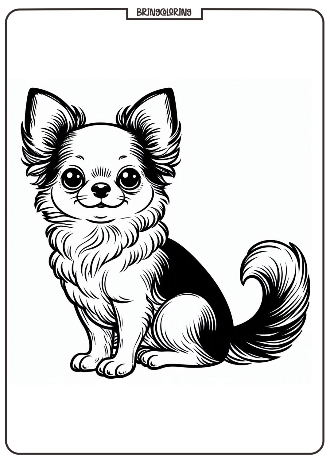 chihuahua coloring page for kids chihuahua coloring page for kids