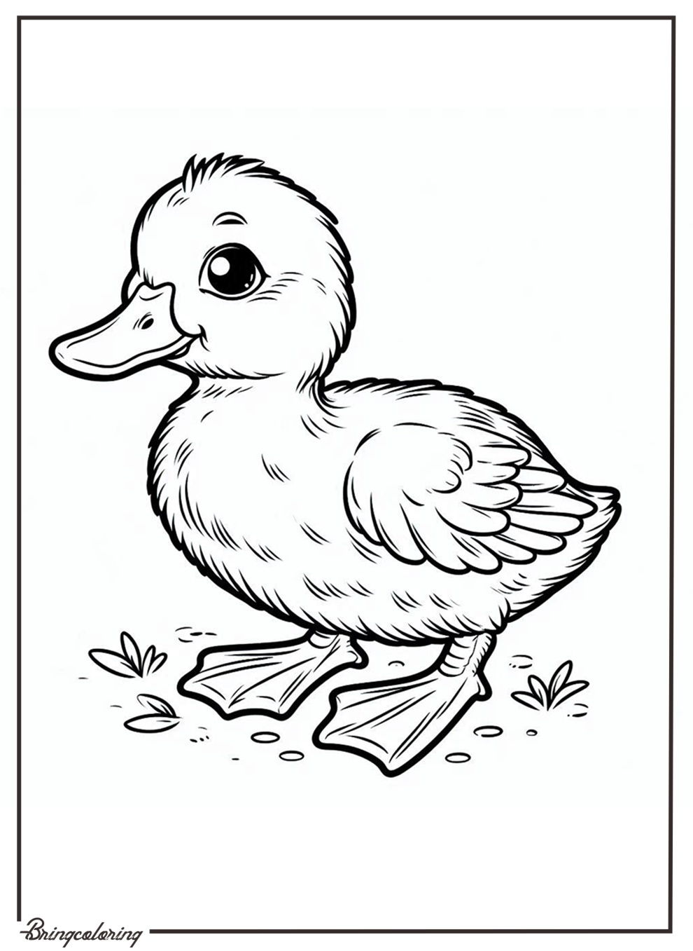 cute duckling coloring page online cute duckling coloring page online