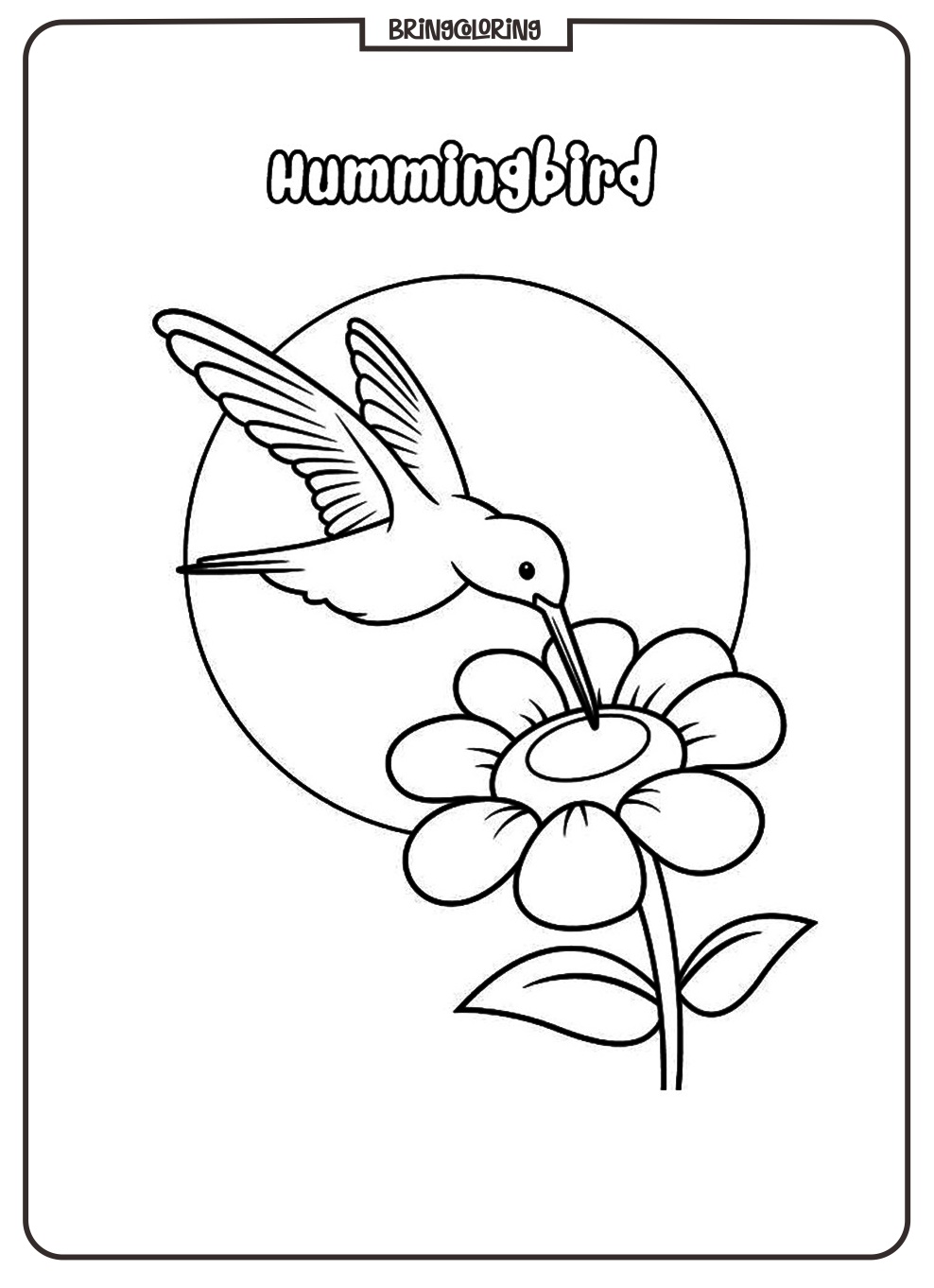 hummingbird coloring page for kid hummingbird coloring page for kid